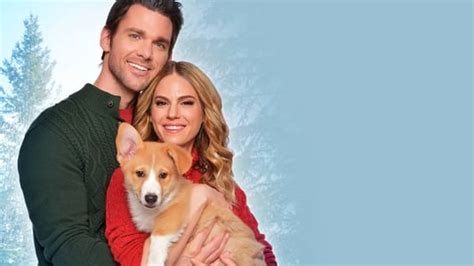 A Very Corgi Christmas (2019) — The Movie Database (TMDB)