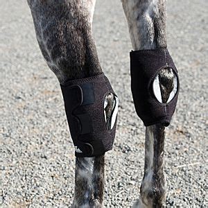 Ice Horse Hock Wrap | Horses, Horse blankets, Horse injuries