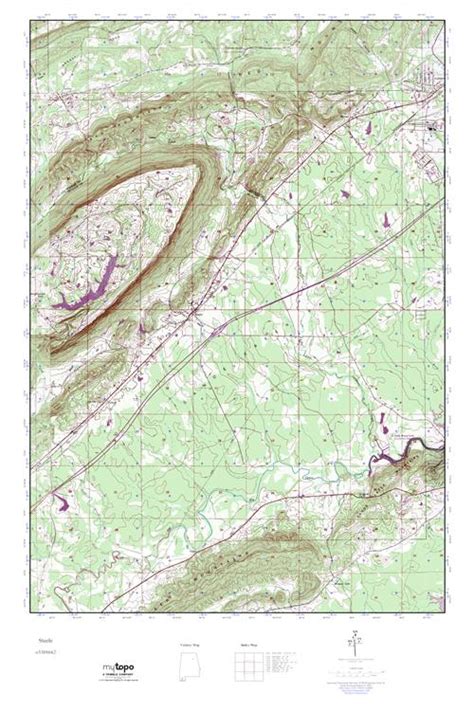 MyTopo Steele, Alabama USGS Quad Topo Map