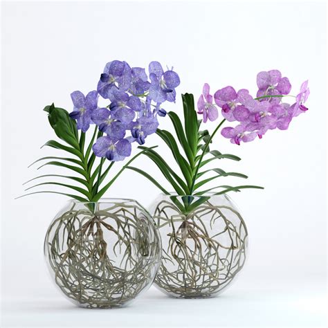 Realistic vanda flowers 3D - TurboSquid 1219862