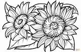 Printable Sunflower Coloring Page sketch template