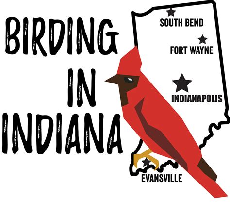 Birds in Indiana - Bird Watching Academy