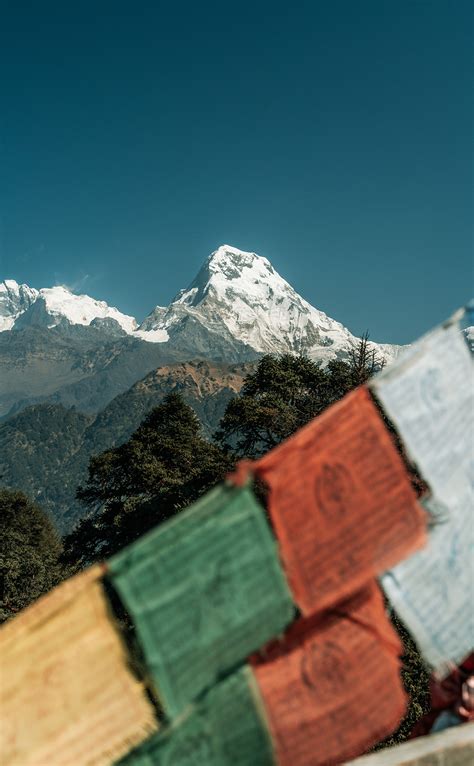 Dhaulagiri Circuit trek – Asiatic Roads