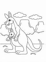 Printable Kangaroo Coloring Page  Free Coloring Pages sketch template