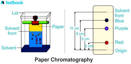 Partition Chromatography: Learn Principle, Procedure, Types & Use