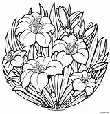 Easter Lily Coloring Page Printable Pages sketch template