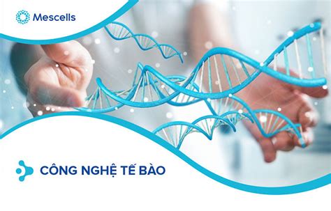 Tìm hiểu về công nghệ tế bào - Ứng dụng trong y học tái tạo và thẩm mỹ