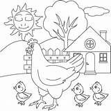 Hen With Baby Chicken Cartoon Character coloring Page Coloring Book  sketch template