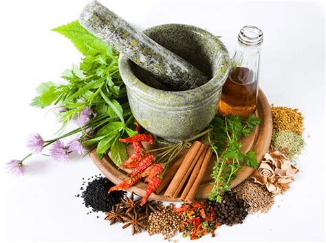 Herbal Medicine - Southport Physical Therapy