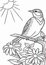 Sparrow Bird On A Tree With Lovely Flowers Printable Coloring Pages  sketch template