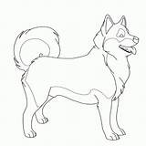 Husky Coloring Pages  Best For Kids sketch template