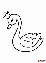 Swan Coloring Pages Printable For Free Download sketch template