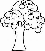 Good Apple Tree Coloring Page  Wecoloringpagecom sketch template