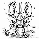 Lobster Coloring Pages  Free & Printable sketch template