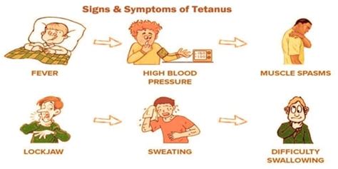 Tetanus (Causes, Symptom, and Complications) - Assignment Point