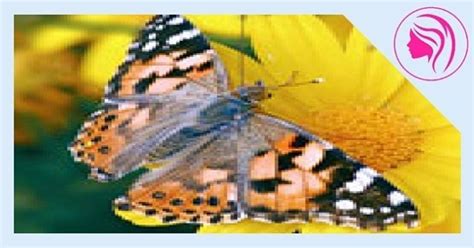 FREE Butterfly Care & Handling Guides # FREE Butterfly Care & Handling Guides Select the guide ...