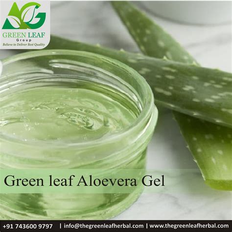 Aloe Vera Gel - The Green Leaf Herbal