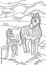 Coloring Pages Mother zebra With Her Little cute baby Stock Vector  sketch template