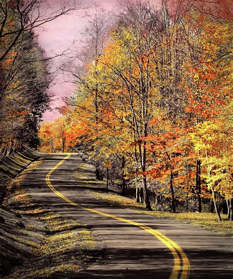 Country Road In Autumn Photograph by Michael Forte