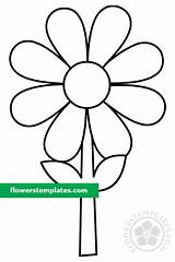 Simple daisy coloring Page  Flowers Templates sketch template