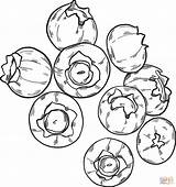 Blueberries Coloring Page Pages sketch template