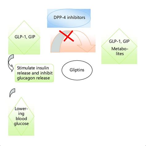 Different types of gliptins and their structures with bioavailability,... | Download Scientific ...