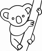 Easy Koala On The Tree Coloring Pages  Cool sketch template