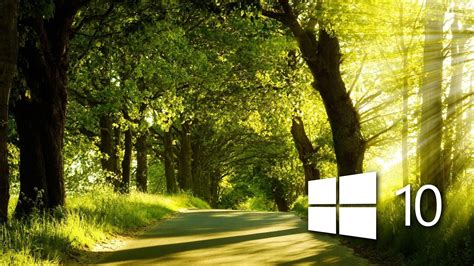 Windows 10 in the sunny forest wallpaper - Computer wallpapers - #48402