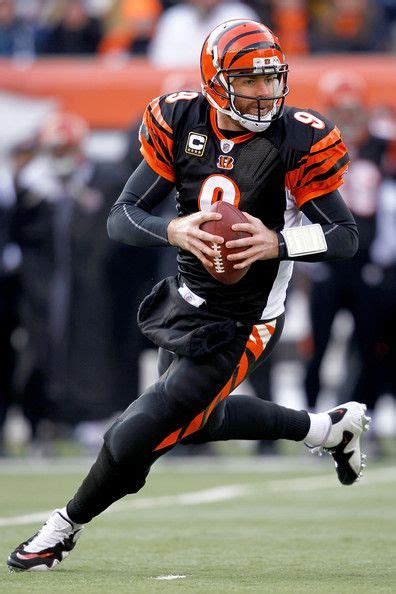 Carson Palmer Photos: Cleveland Browns v Cincinnati Bengals | Bengals ...