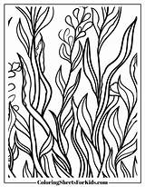 Seaweed Coloring Pages Free Downloads  Sheets For Kids sketch template