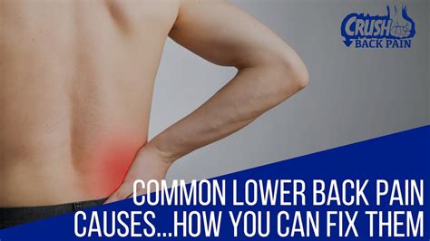 How You Can Fix Common Lower Back Pain Causes - YouTube