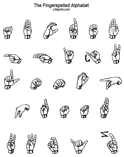 Sign Language