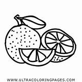Lime Coloring Page  Ultra Pages sketch template