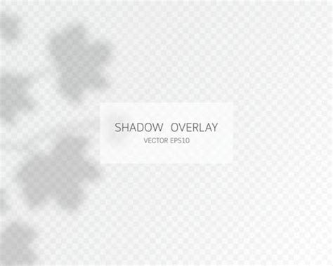 Shadow Vector Art, Icons, and Graphics for Free Download