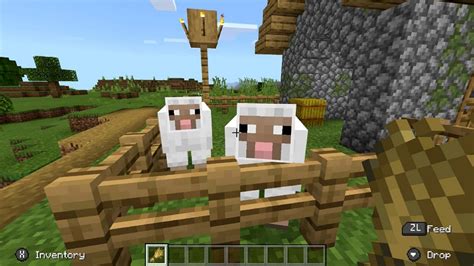 How to farm wool in Minecraft (2022)