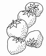 Dibujos de Fresa para colorear E Imprimir– ColoringOnlyCom sketch template