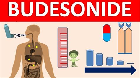 Budesonide - Mechanism, side effects, precautions & uses - YouTube