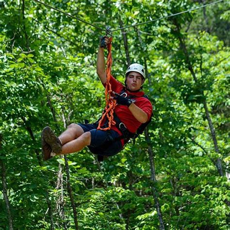 Smoky Mountain Ziplines | Smokies, Smoky mountains, Ecotourism