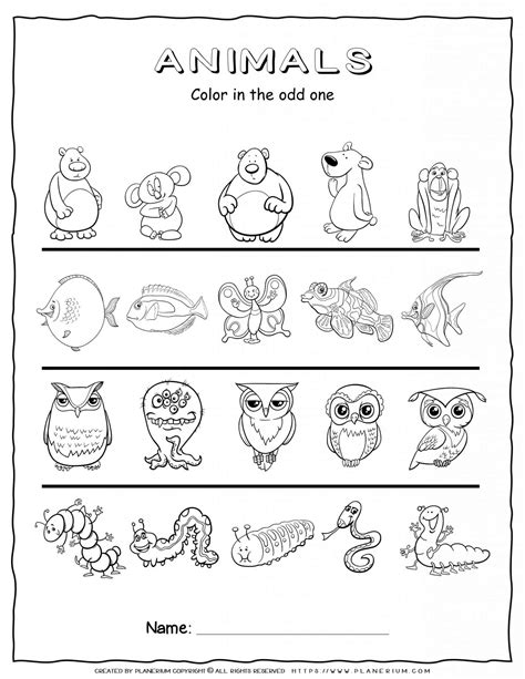 Animals Worksheet - Odd one Out | Planerium