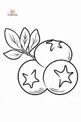 Blueberry Coloring Page Printable Sketch sketch template