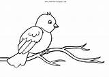 Bird Coloring Pages  FREE Download Underbart Skapad sketch template