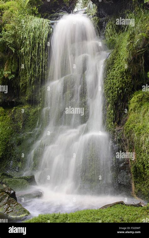 Small waterfall in stream, Fairbrook Naze, Kinder Scout, Dark Peak, Peak District N.P ...