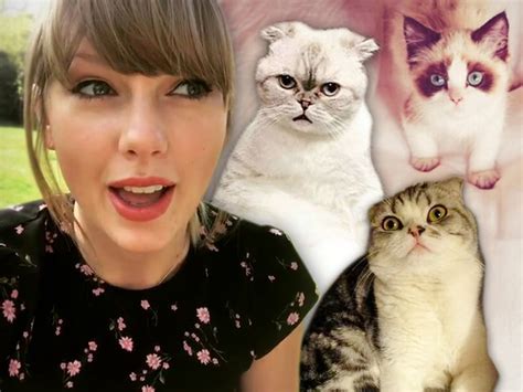 Taylor Swift Trademarks Her New Cat Benjamin Button