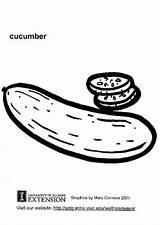 Pepino Cucumber Coloring Gurke Para Colorear Dibujo Malvorlage Dibujos  sketch template