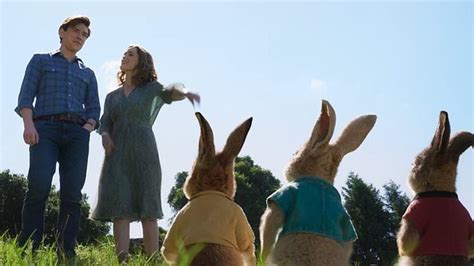 Peter Rabbit 2: Release Date, Cast, Movie Plot Sequel, Trailer, News