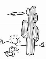 Desert Coloring Page sketch template
