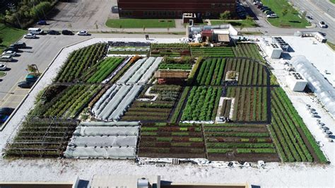 This IGA grocery store has a green roof that produces organic food