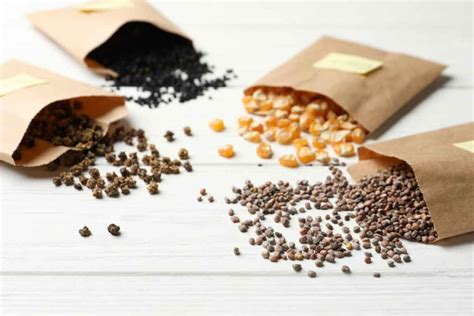 Survival Seeds: 10 Best Seed Types for Growing a Complete Survival Garden - Survival World