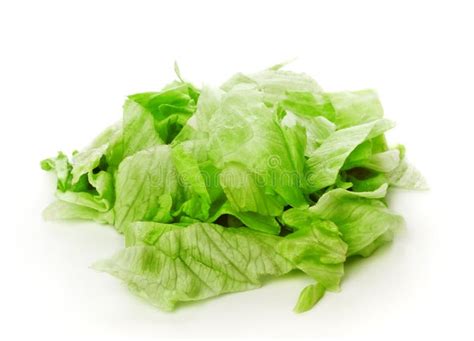 Green Iceberg Salad stock image. Image of groceries, piece - 17997119