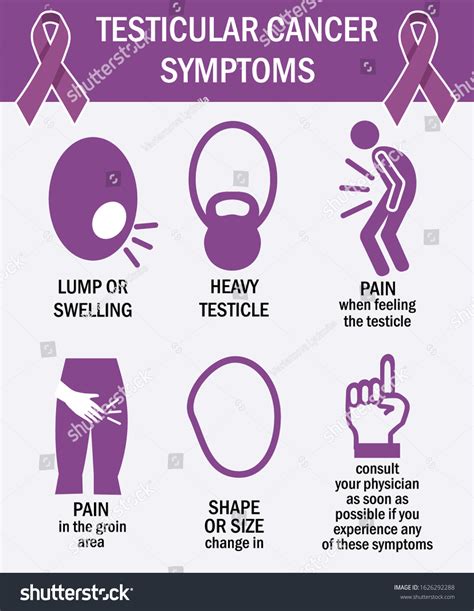 Testicular Cancer Symptoms Infographics Pictogram Icons: vector de ...